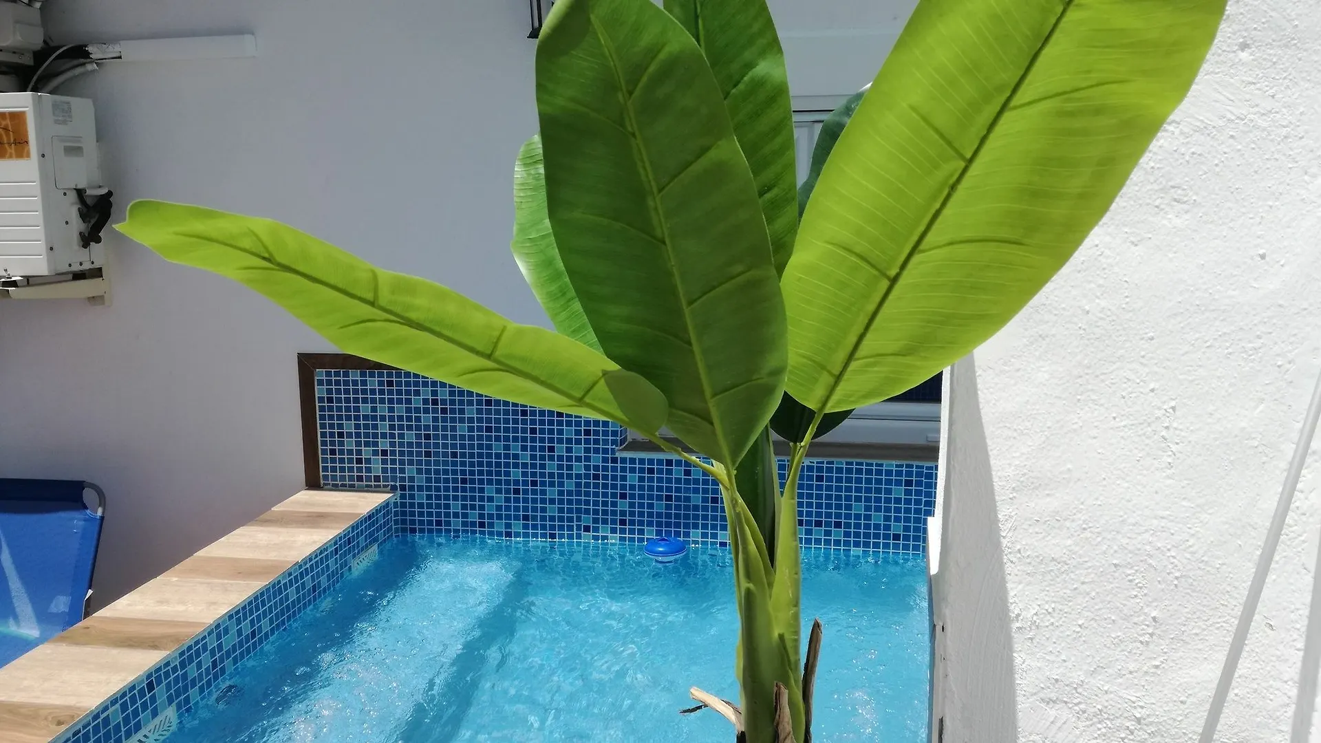 Appartement Atico Oasis Centro à Grenade Espagne